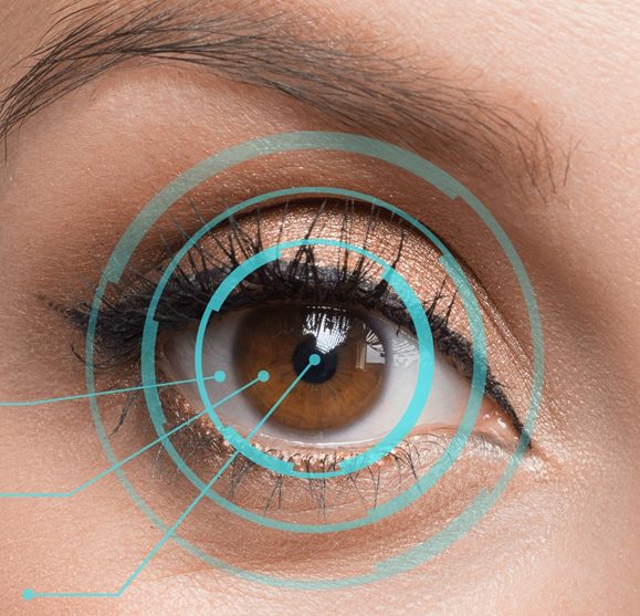 Eyelash – twthealth. com Eyelash - twthealth. com