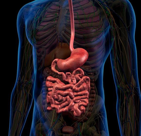 Illeal Interpozisyon – Stomach – twthealth. com Illeal Interpozisyon - Stomach - twthealth. com